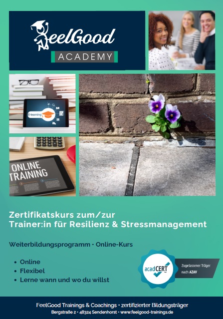 Infobroschüre Konfliktberaterin